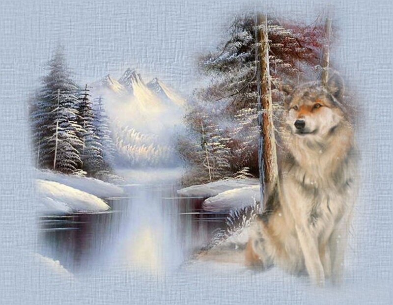 Wolf in Winter Landscape — White