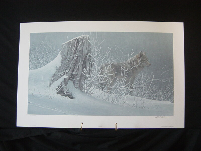 Wolf in Winter — White, Calm, Illustration