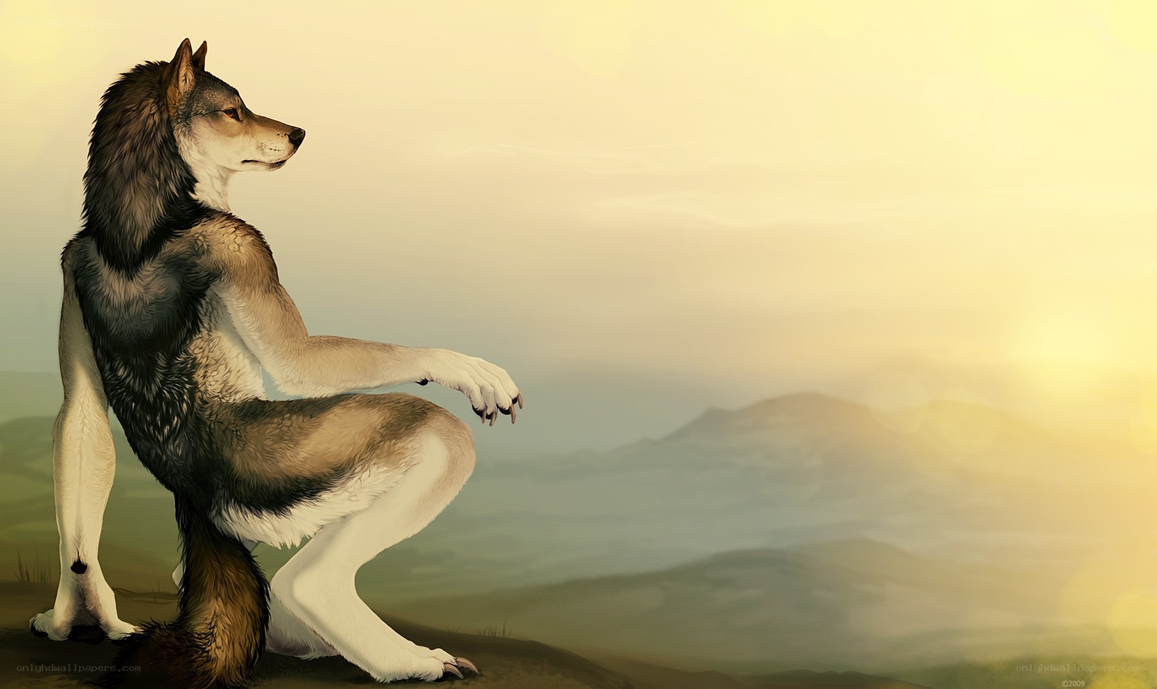 wolf-like creature on a hill