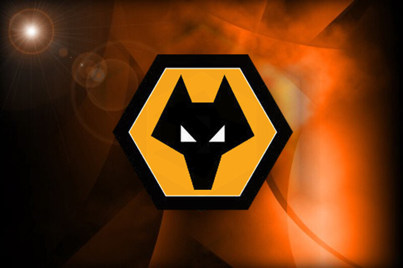 Wolf Logo in Hexagon — Orange