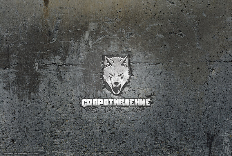 Wolf logo on concrete wall