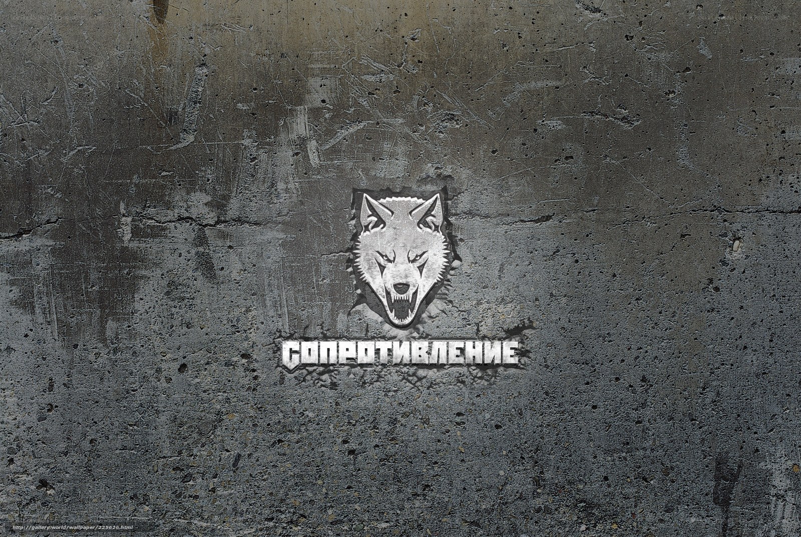 Wolf logo on concrete wall