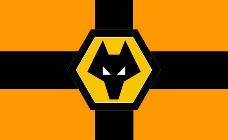 Wolf Logo on Flag — Orange