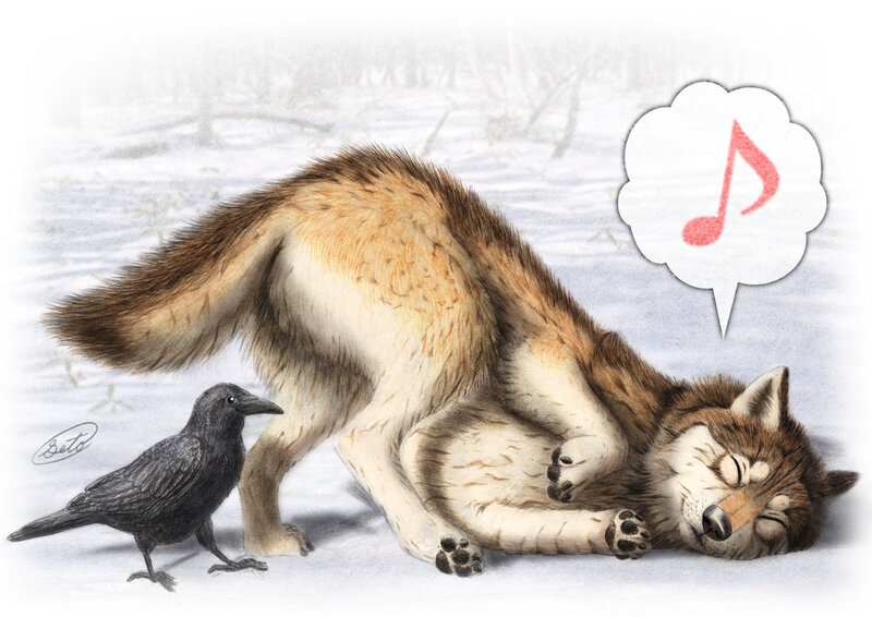 Wolf Lying in Snow — White, Peaceful