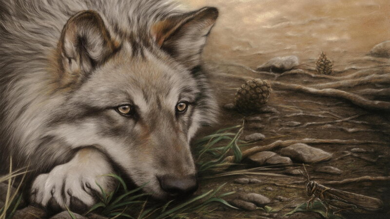 Wolf Lying on Ground — Brown, Calm, Painting