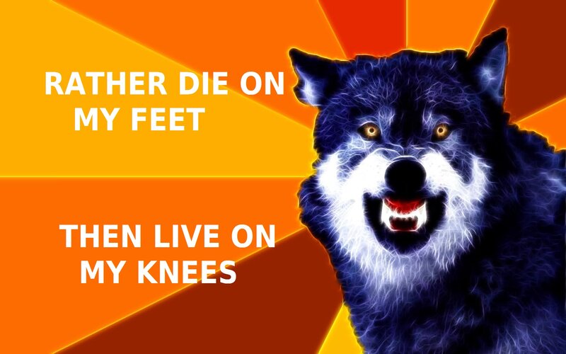 wolf meme with quote
