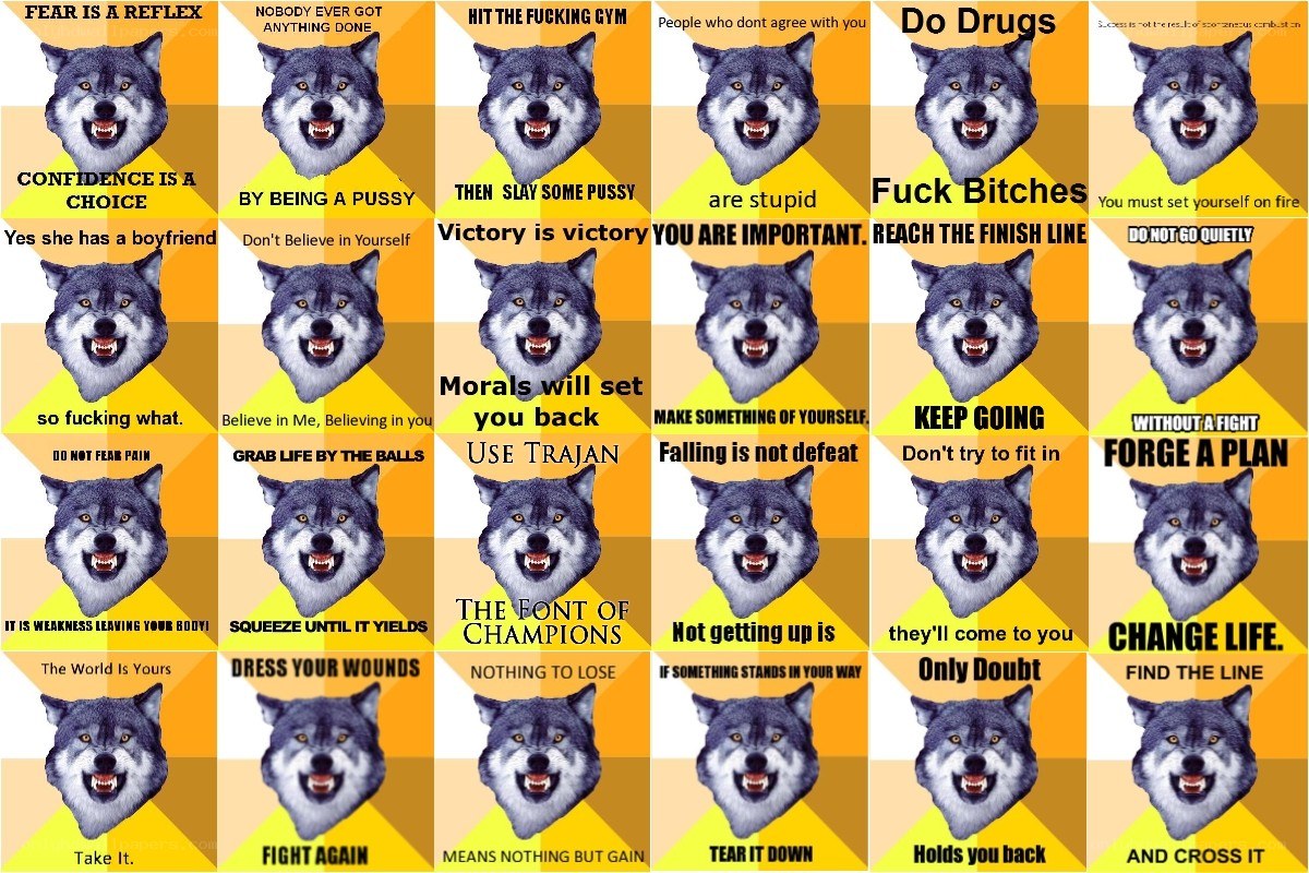 Wolf motivational meme grid