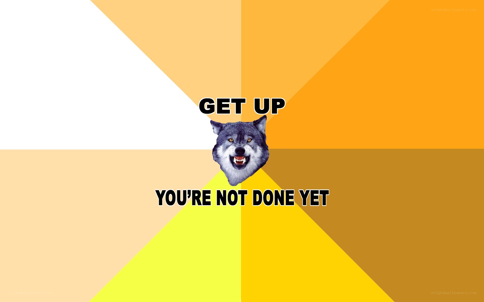 wolf motivational meme