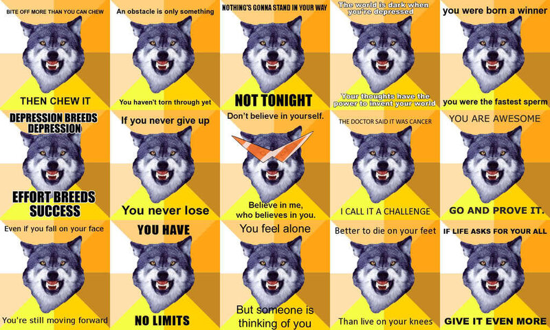 Wolf motivational quotes