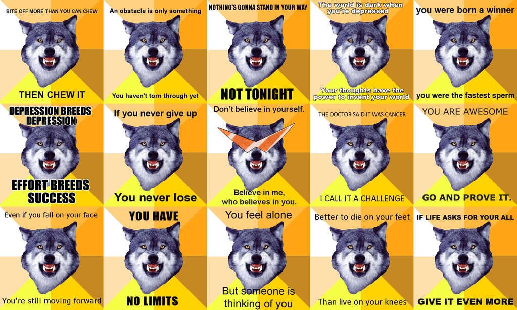 Wolf motivational quotes