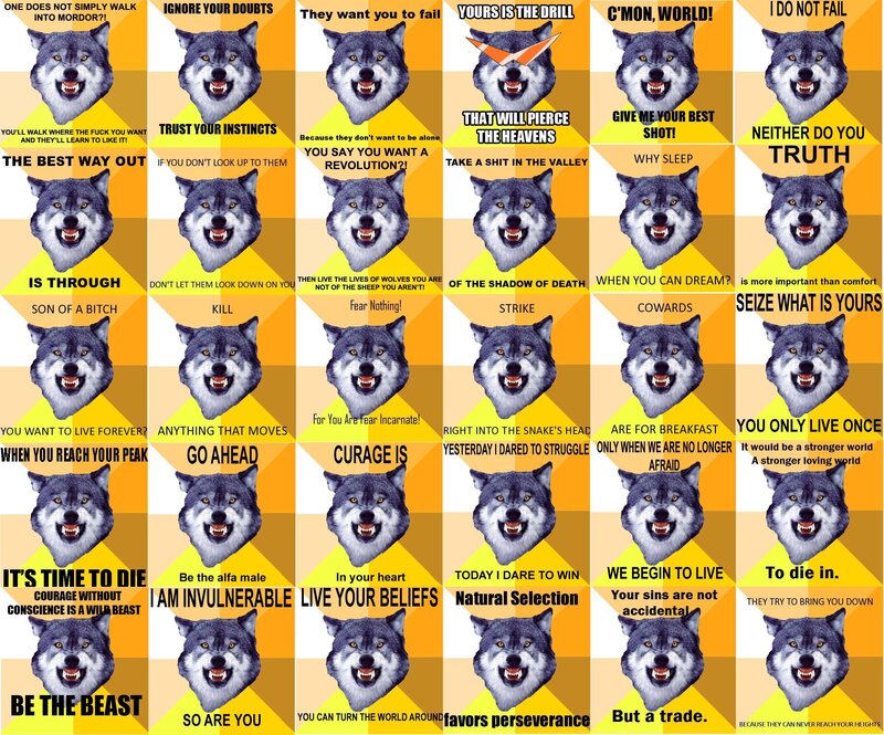 Wolf motivational quotes collage