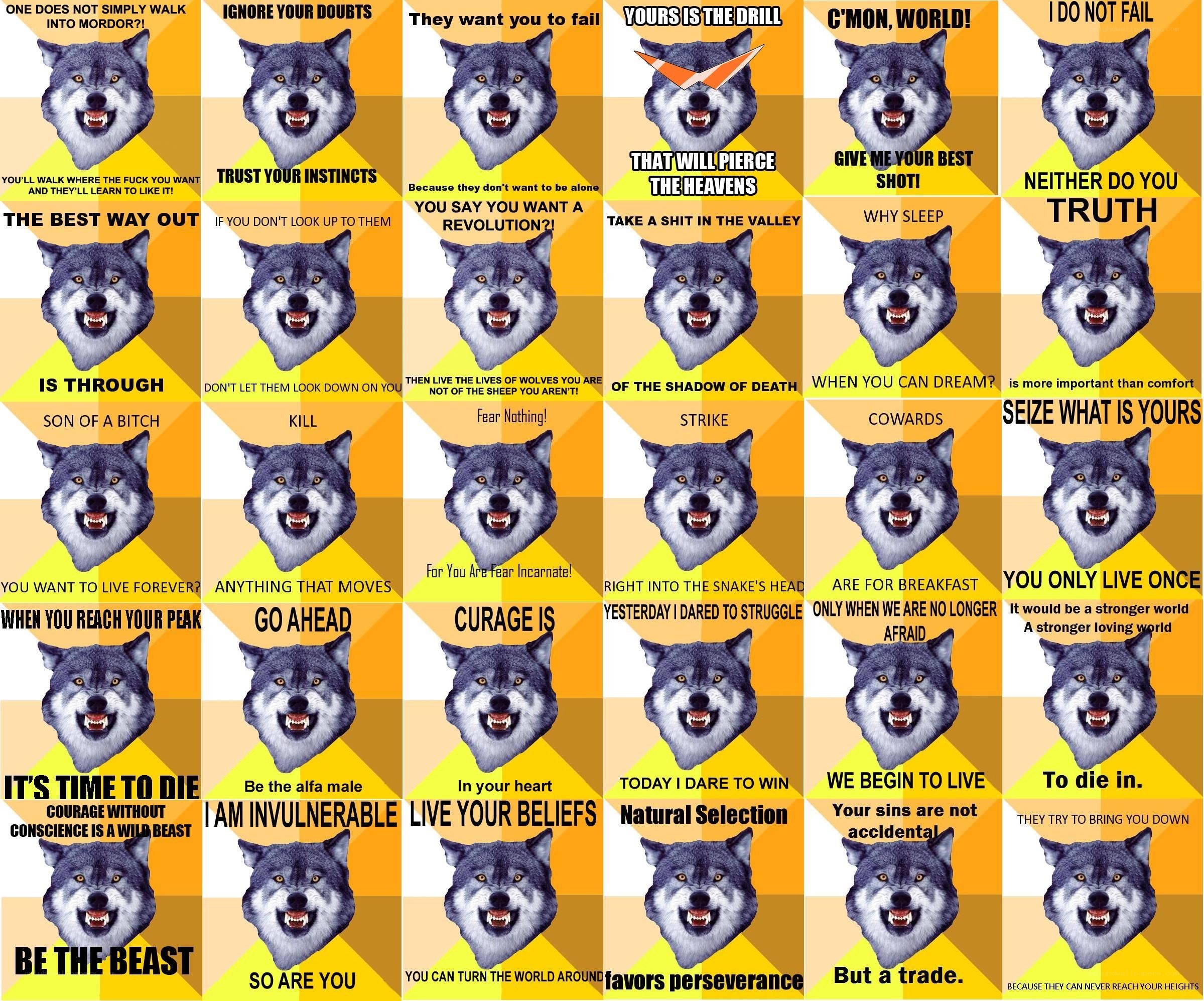 Wolf motivational quotes collage