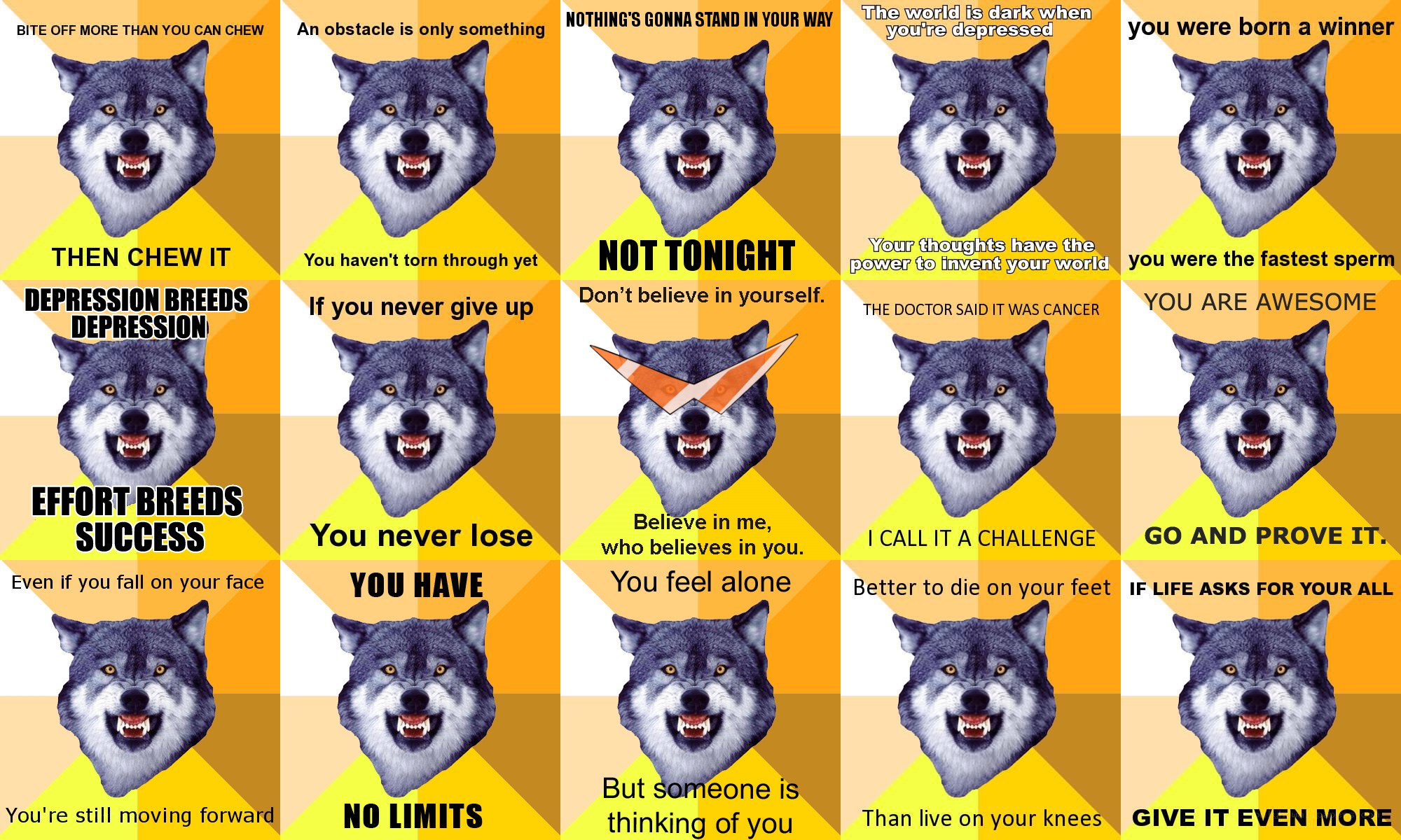 Wolf motivational quotes