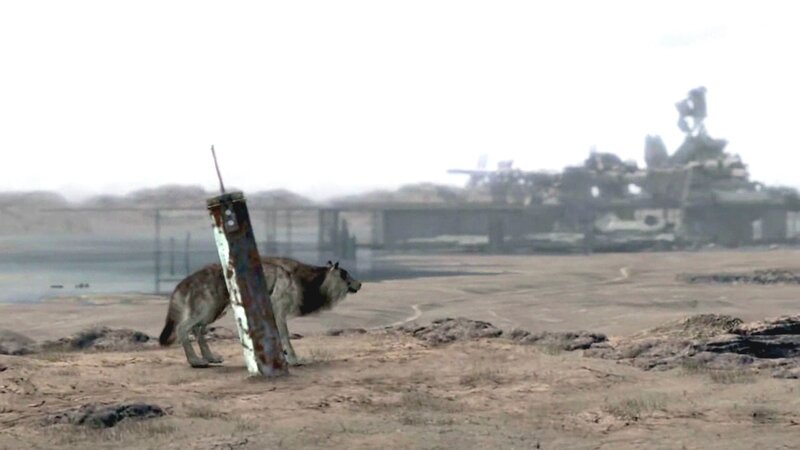 Wolf Near a Post