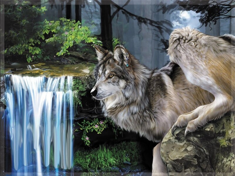 Wolf Near Waterfall