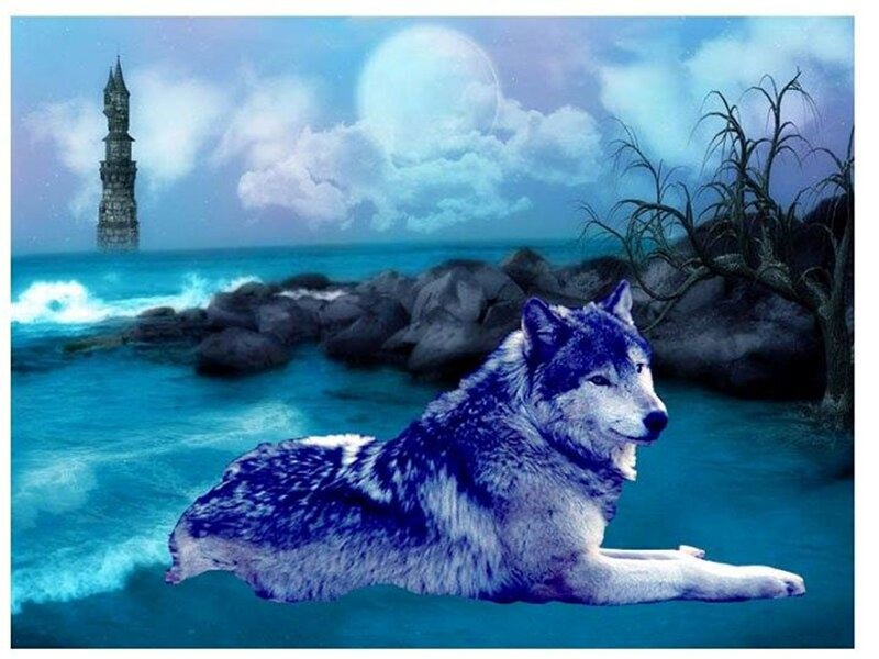 Wolf on a Beach