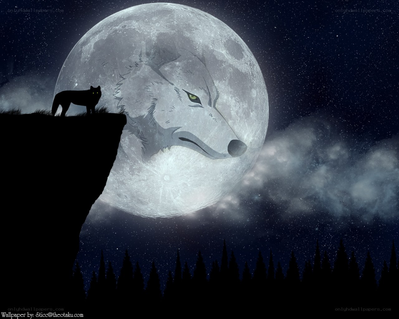 wolf on a cliff at night