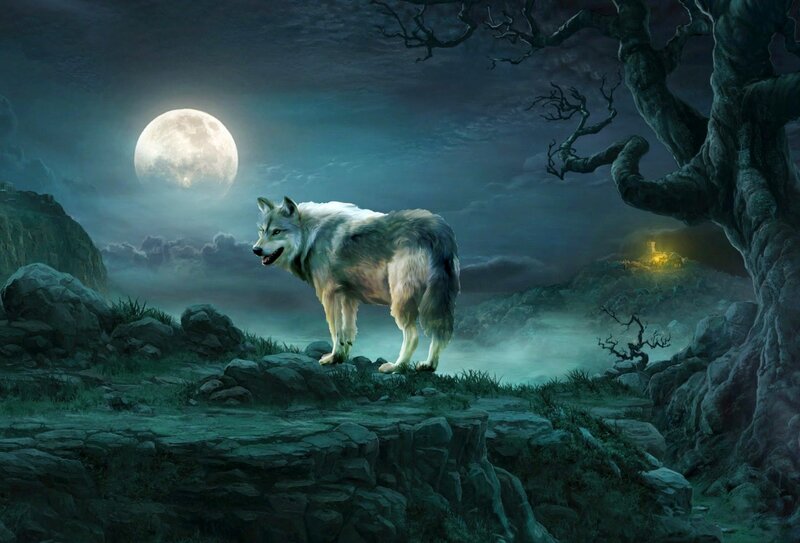 Wolf on a Cliff — Blue
