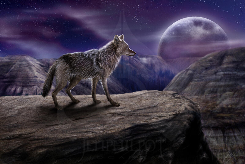 Wolf on a Cliff — Purple, Dramatic