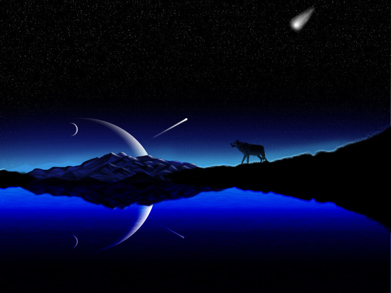 Wolf on a cosmic shore