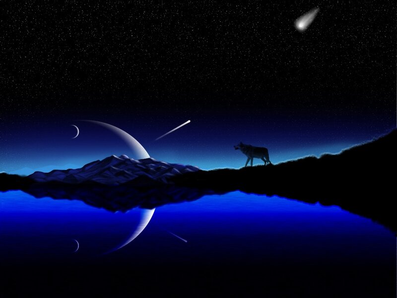 Wolf on a Hill