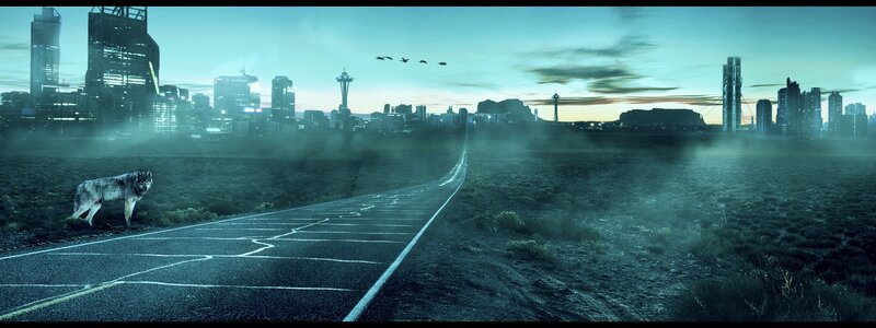 Wolf on a Road — Blue