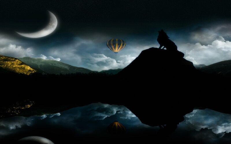Wolf on a rock at night