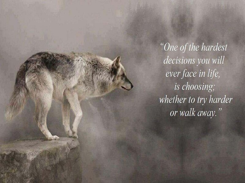 Wolf on a Rock — Gray, Dramatic, Photograph