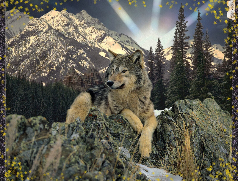 Wolf on a Rock — Gray, Dramatic