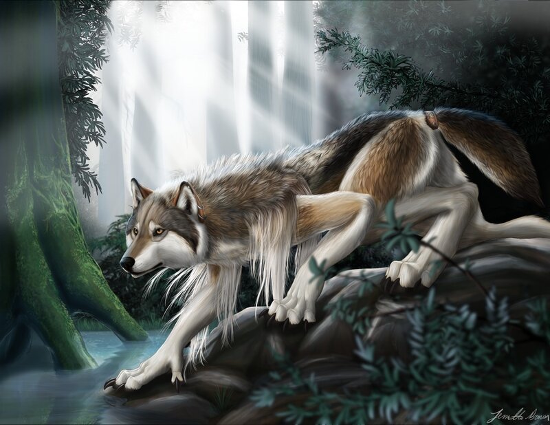Wolf on a Rock — Gray, Serene