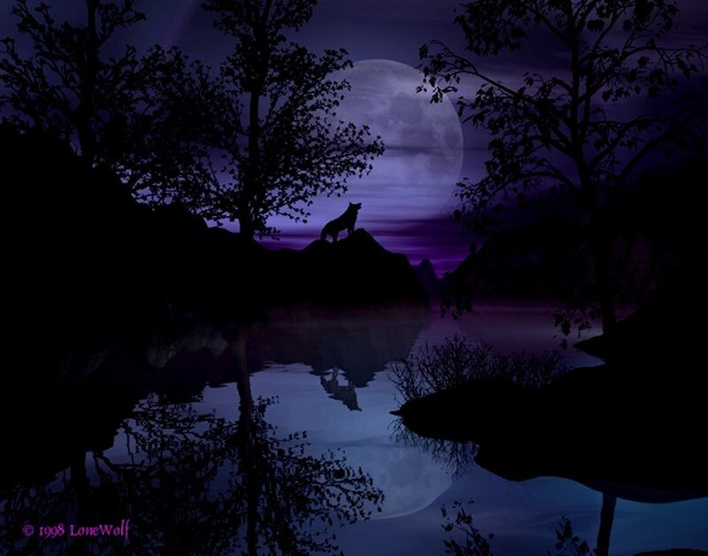 Wolf on a Rock — Purple