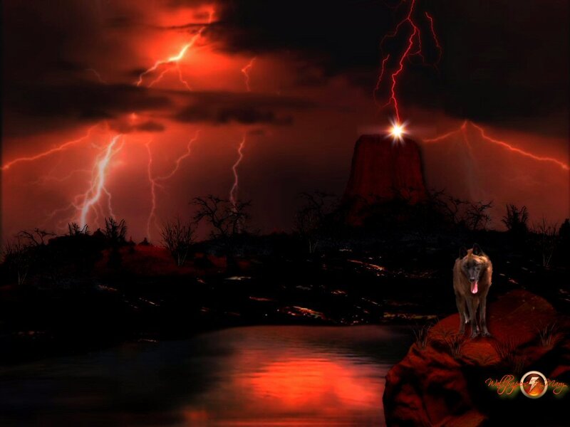 Wolf on a Rock — Red, Dramatic