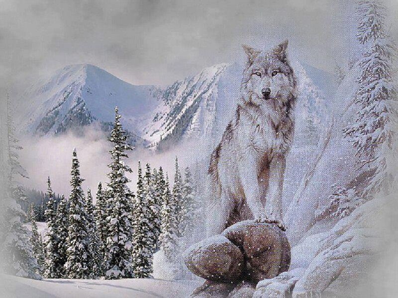 Wolf on a Rock — White
