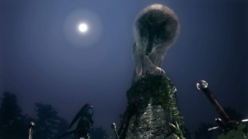 Wolf on a Stone