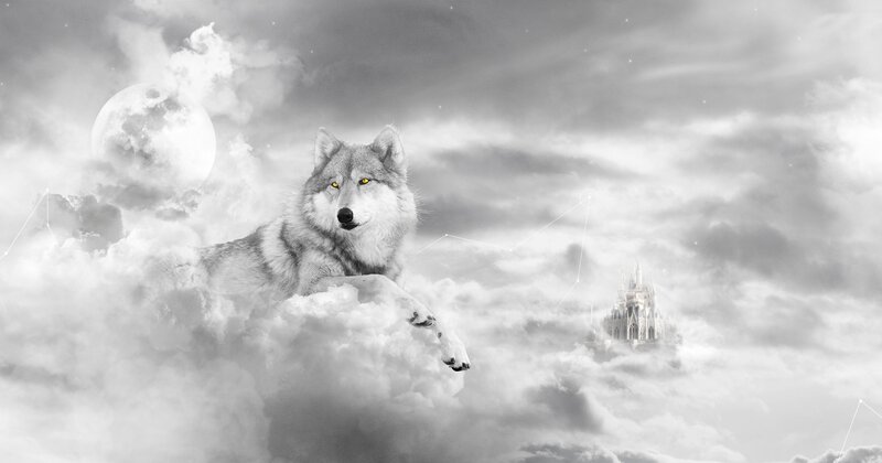 Wolf on Clouds