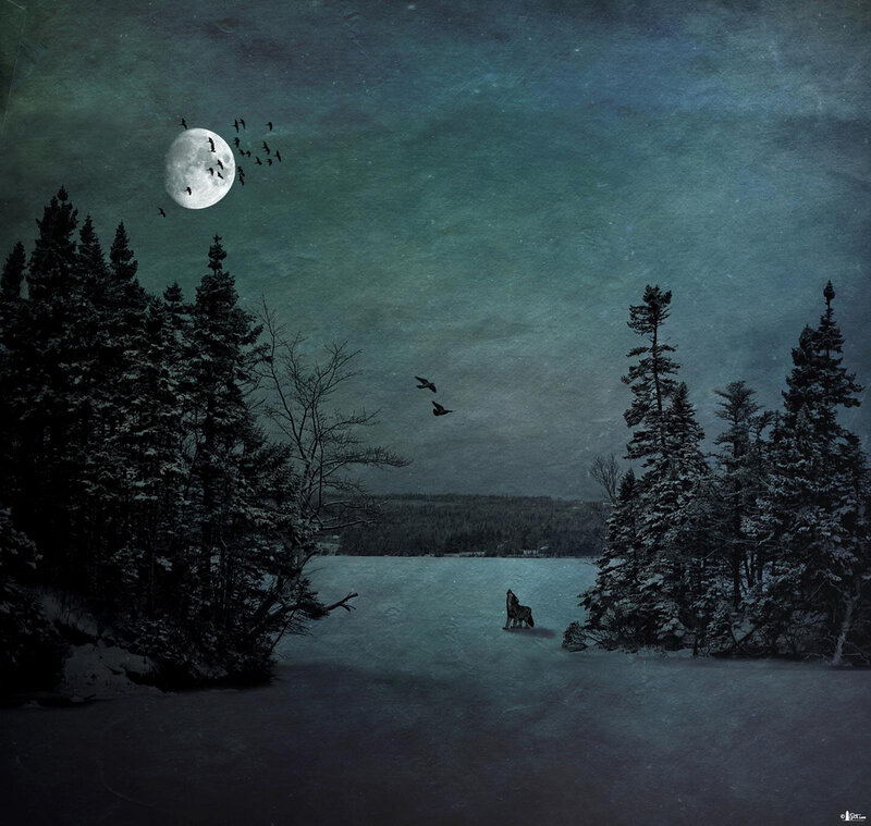 Wolf on Frozen Lake