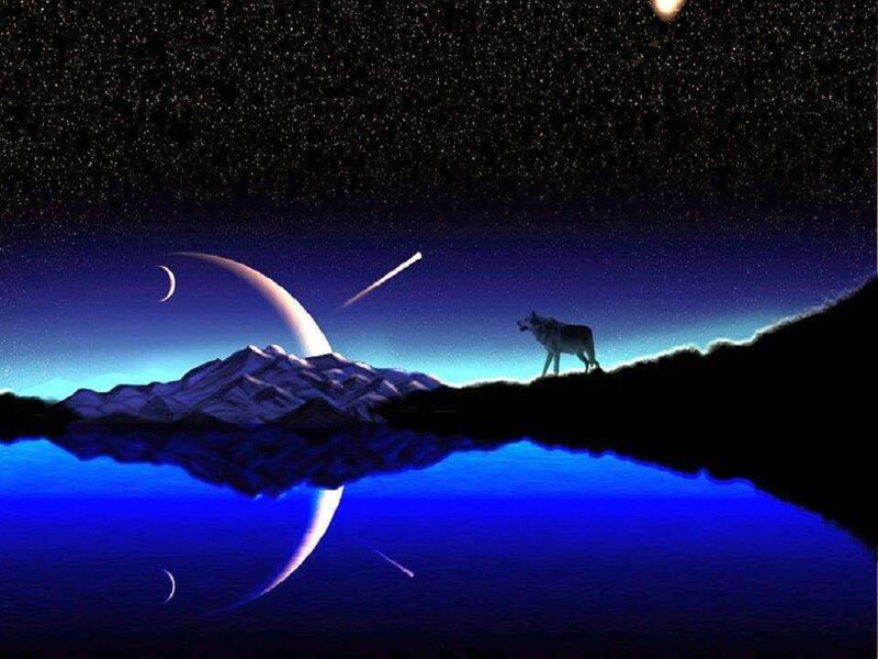 Wolf on Mountain Peak — Blue
