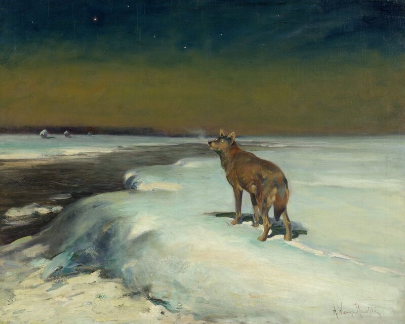 Wolf on Snowy Shore