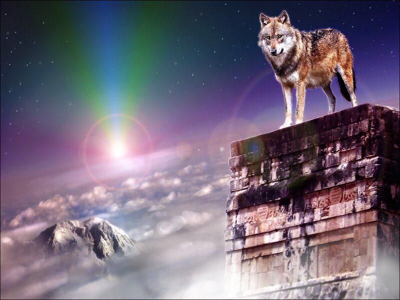 Wolf on Stone Structure