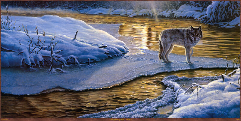 Wolf on Thin Ice