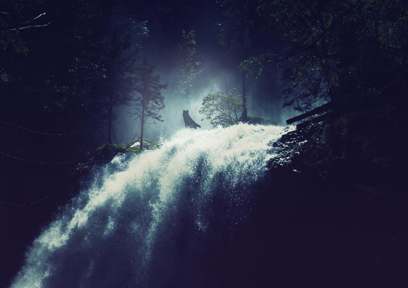Wolf on Waterfall — Blue