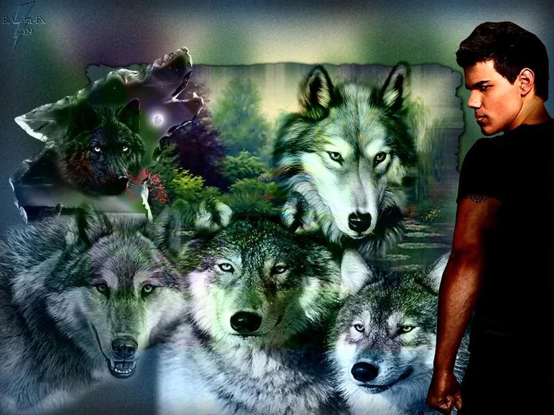 Wolf Pack Collage — Gray