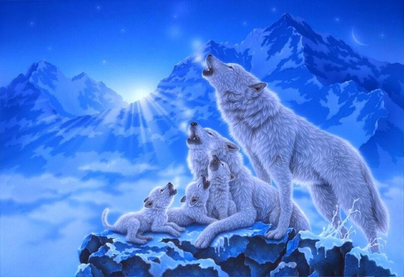 Wolf Pack Howling — Blue, Serene, Night