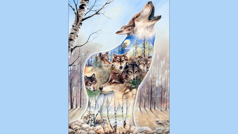 Wolf Pack Howling — Blue, Serene