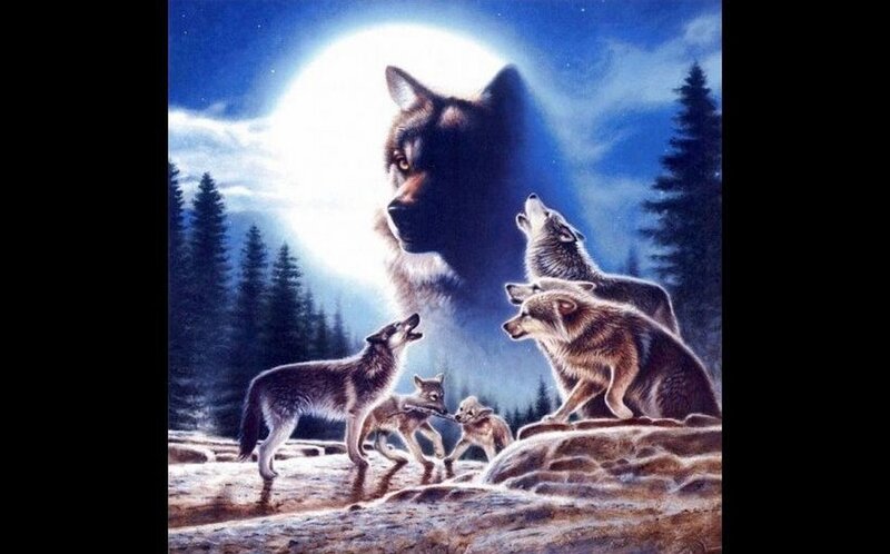 Wolf Pack Howling — Blue