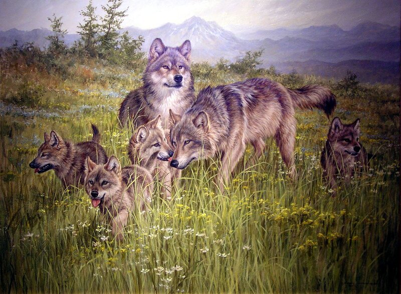 Wolf Pack in Field — Green