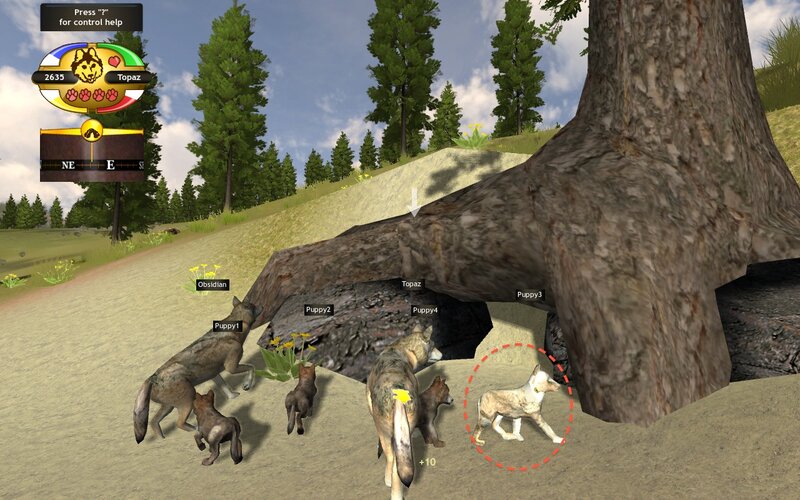 Wolf Pack in Forest — Green, Natural