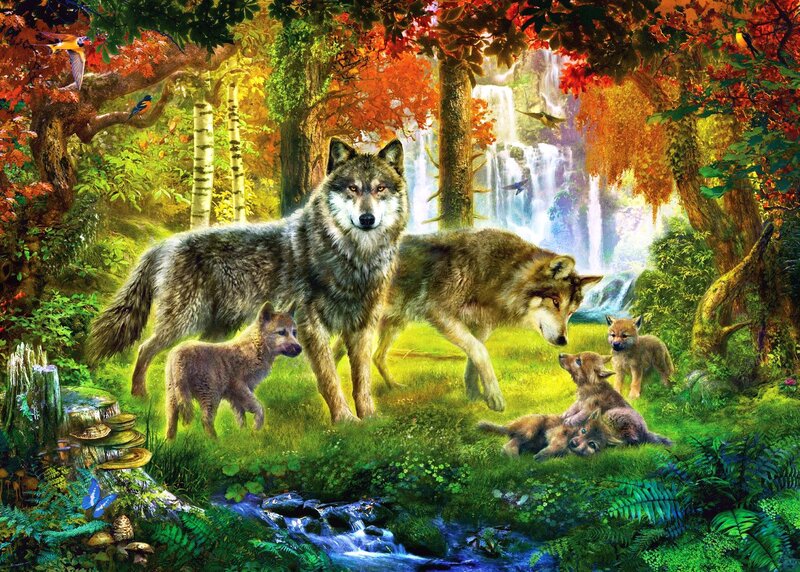 Wolf Pack in Forest — Green, Serene, Autumn