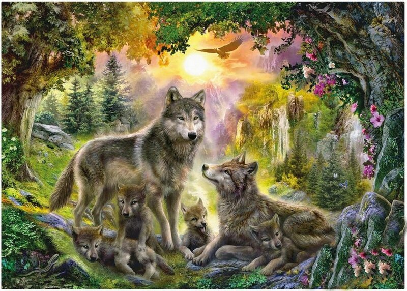 Wolf Pack in Forest — Green, Serene, Sunset