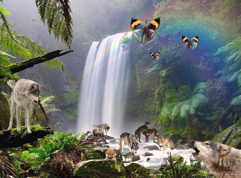Wolf Pack in Forest — Green, Serene